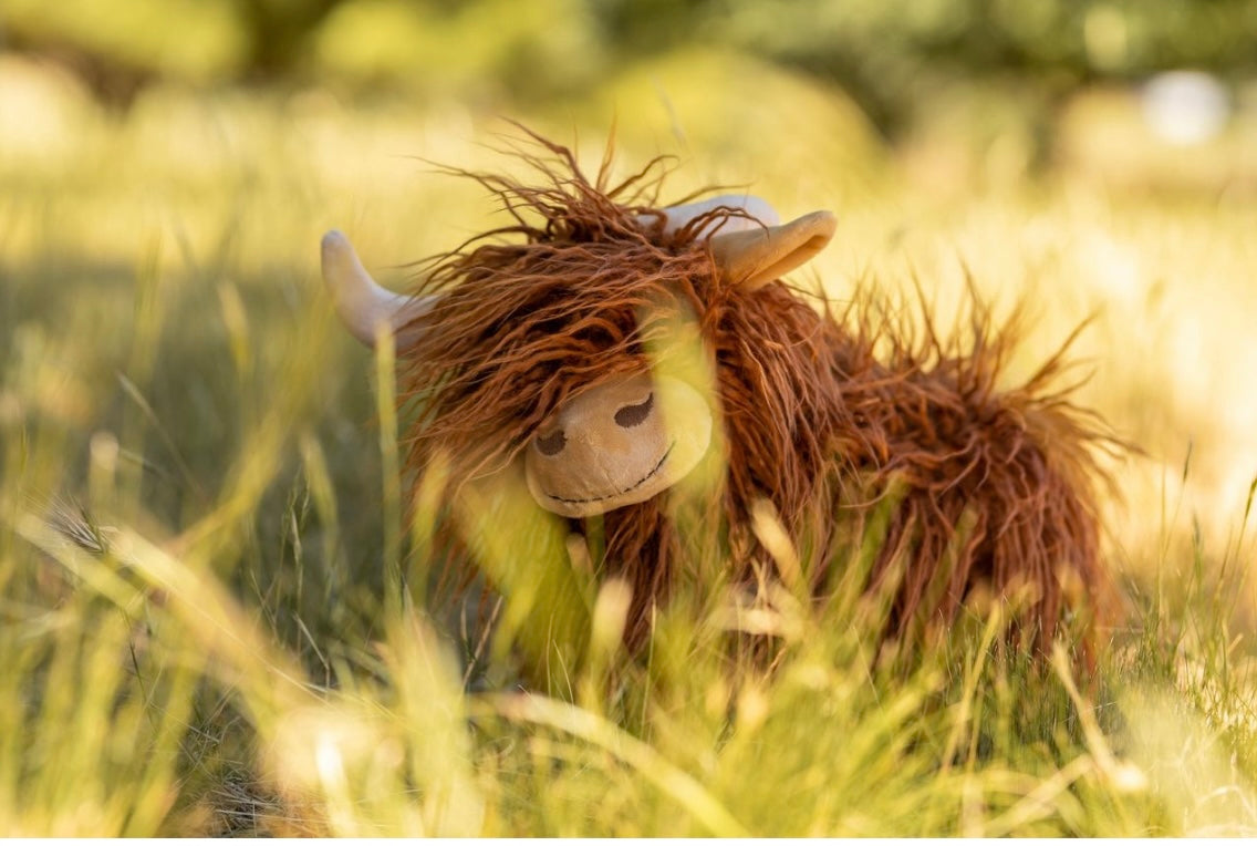 Nana Huchy Highland Cows