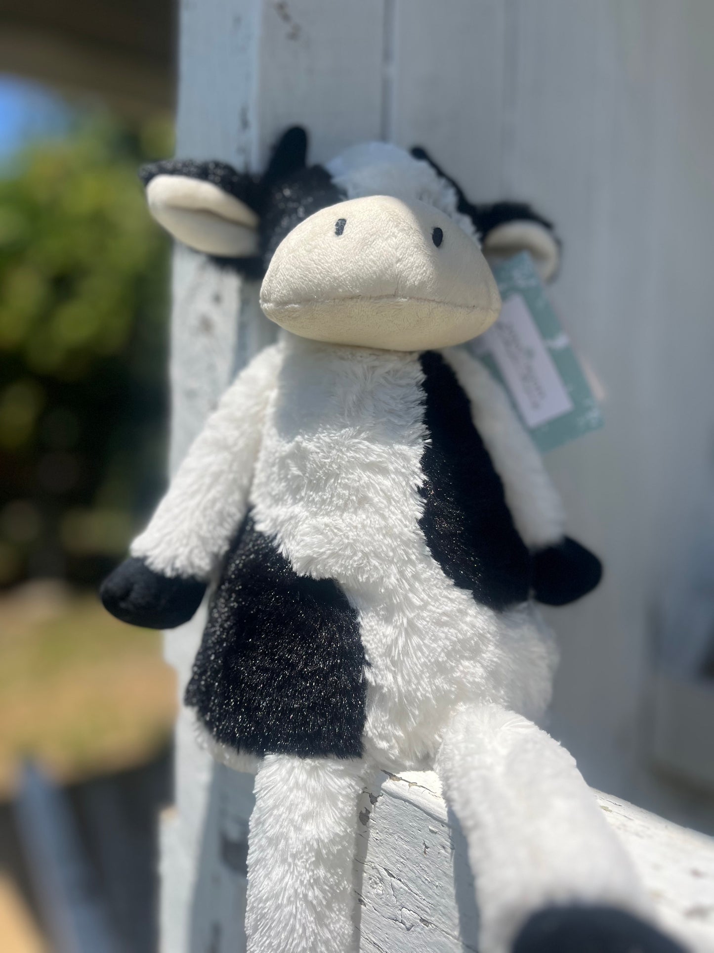 Clover the cows
