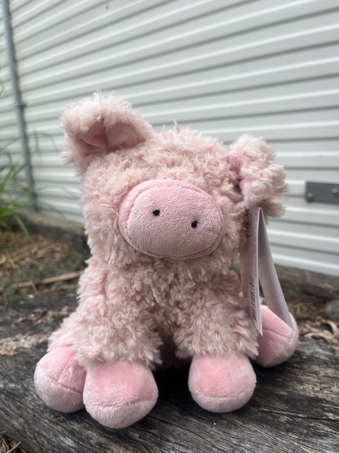 Poppy the Pig