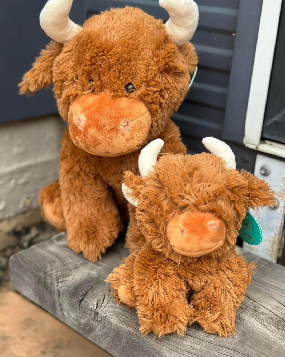 Highland Cows