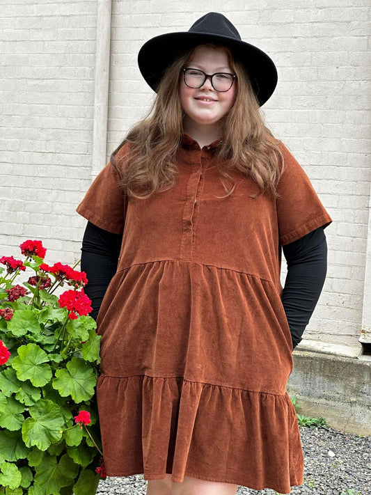 SASS Clothing Amber brown mini dress
