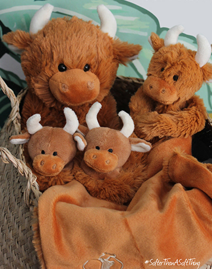 Highland Cows